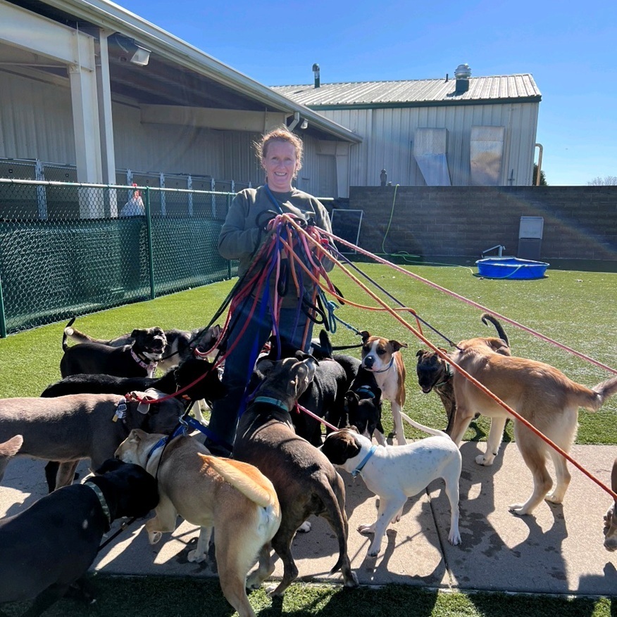 Picture of Sara Ferguson with lots of dogs on leash